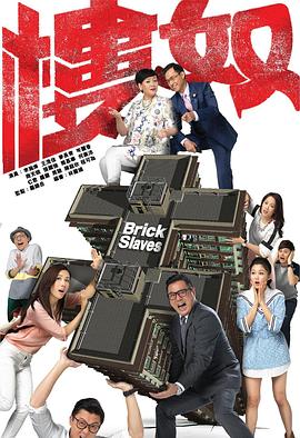 楼奴第11集