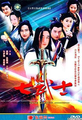 七武士2004第28集