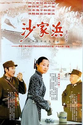 沙家浜2006第12集