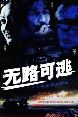 无路可逃2004第21集