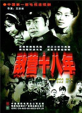 敌营十八年1981第07集