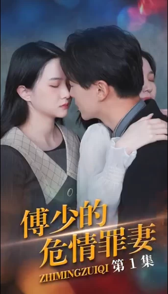 傅少的隐婚罪妻61-80集